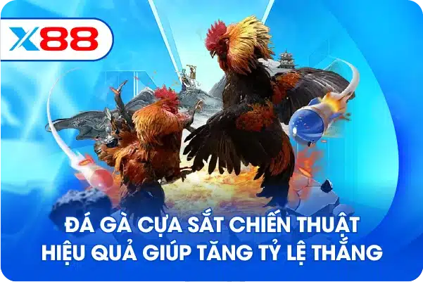 Đá gà cựa sắt chiến thuật hiệu quả giúp tăng tỷ lệ thắng