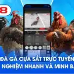Đá gà cựa sắt trực tuyến trải nghiệm nhanh và minh bạch